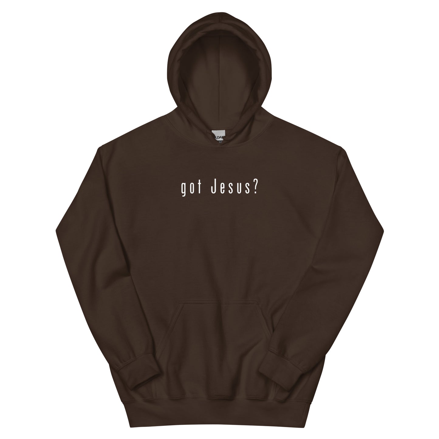 Got Jesus? QR Code Hoodie